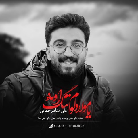 دانلود آهنگ علی شاهرحمانی یا مولا دلوم تنگ اومده